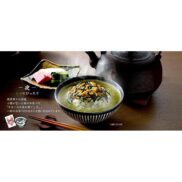 Nagatanien-Dashi-Chazuke-8-Servings-Japanese-Taste-2_2048x.jpg