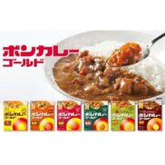 Otsuka-Bon-Curry-Gold-Instant-Japanese-Curry-Sauce-Extra-Hot-180g-Japanese-Taste-2_a23455cb-e18c-4480-b758-561a0c5e939f_2048x.jpg