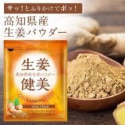 Shoga-Kenbi-Japanese-Ground-Ginger-Powder-100g-Japanese-Taste-2_2048x.jpg