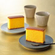 Bunmeido Tokusen Gosan Japanese Handmade Castella Cake 10 Pieces