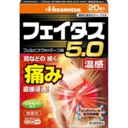 Hisamitsu Feitas 5.0 Pain Relief Patch Warm 20 Patches