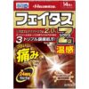 Hisamitsu Feitas Z ? Alpha Dicsas Pain Relief Patch Warm 14 Patches