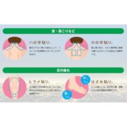 Hisamitsu Salonpas Pain Relief Patch 80 Patches