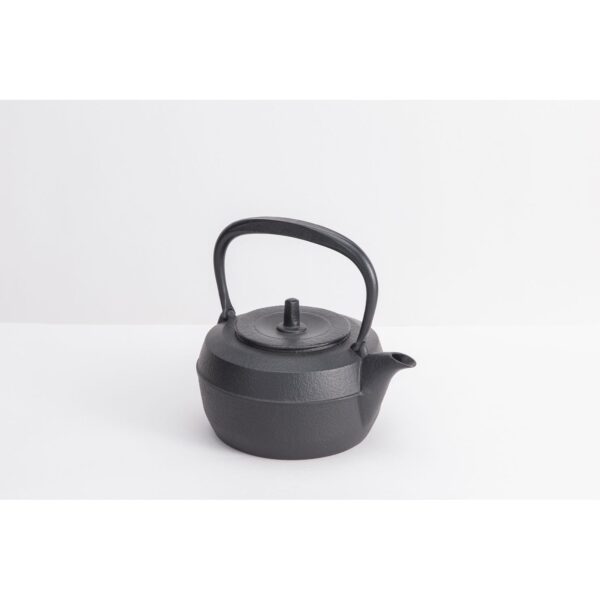 Iwachu Tetsubin Kettle Baum Japanese Cast Iron Teapot 1.1L