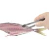 KAI Fish Bone Tweezers DH7133