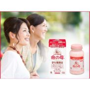 Kobayashi Inochi no Haha A Menopause Supplement 420 Tablets