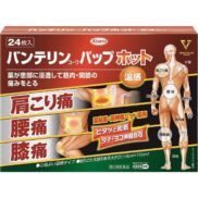 Kowa Vantelin Pap Pain Relieving Patches Hot Type 24 Pads