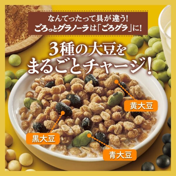 Nissin Gorogura Japanese Granola Cereal Mixed Beans 400g