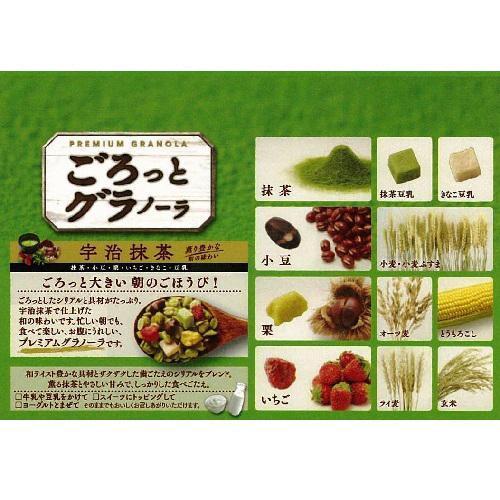 Nissin Gorotto Matcha Granola Cereal (Green Tea Granola) 360g