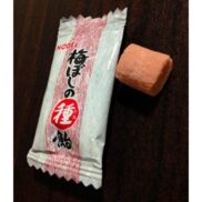 Nobel Umeboshi no Taneame Pickled Plum Seed Candy 30g