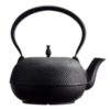 Oigen Nambu Tetsubin Cast Iron Kettle Kangetsu Arare H-159 1.85L