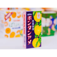 Seika Bontan Ame Japanese Pomelo Soft Candy 14 Pieces
