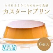 Shiseido Parlour Custard Pudding 6 Units