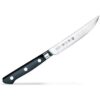 Tojiro DP Cobalt Steak Knife 120mm F-797