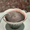 Hario V60 Metal Coffee Dripper – Reusable Stainless Steel Brewing Cone