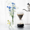 Hario V60 Drip-Assist – Pour Over Coffee Tool for Controlled Water Flow