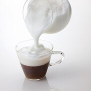 Hario Creamer "Qto"