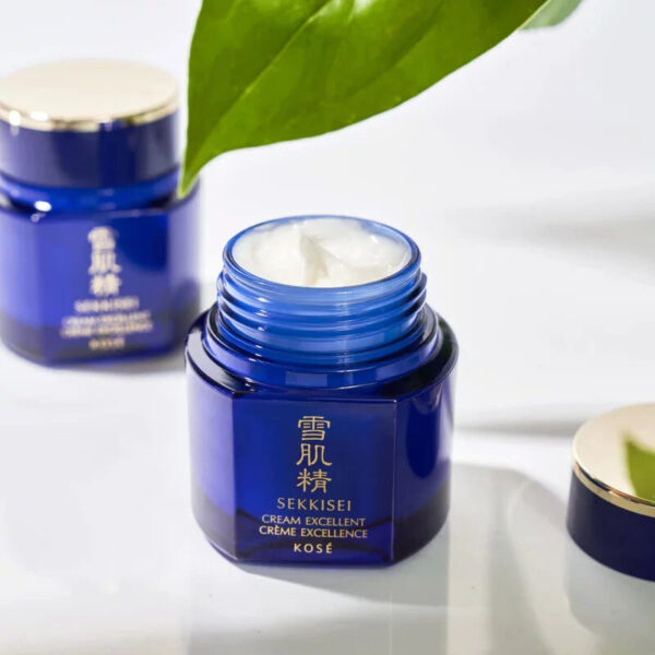 Kose-Sekkisei-Cream-Excellent-Spot-Treatment-Moisturizing-Cream-50g-5-2024-06-14T02_08_59.394Z