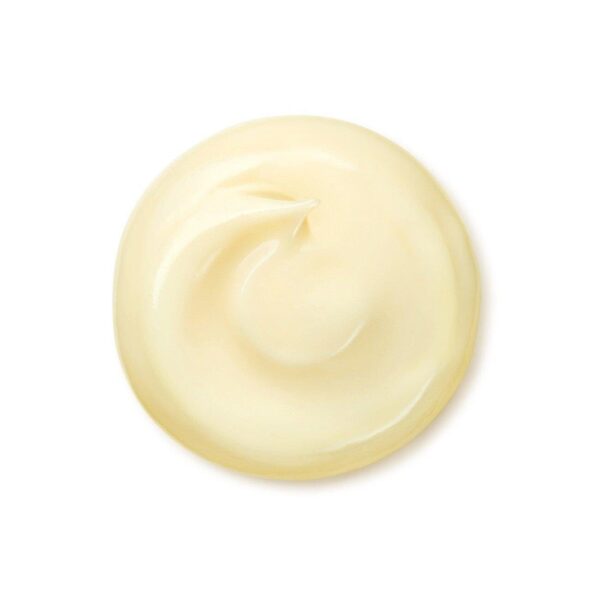 P-4-BNFI-SMOCRM-50-Shiseido_Benefiance_Wrinkle_Smoothing_Cream_Enriched_50g
