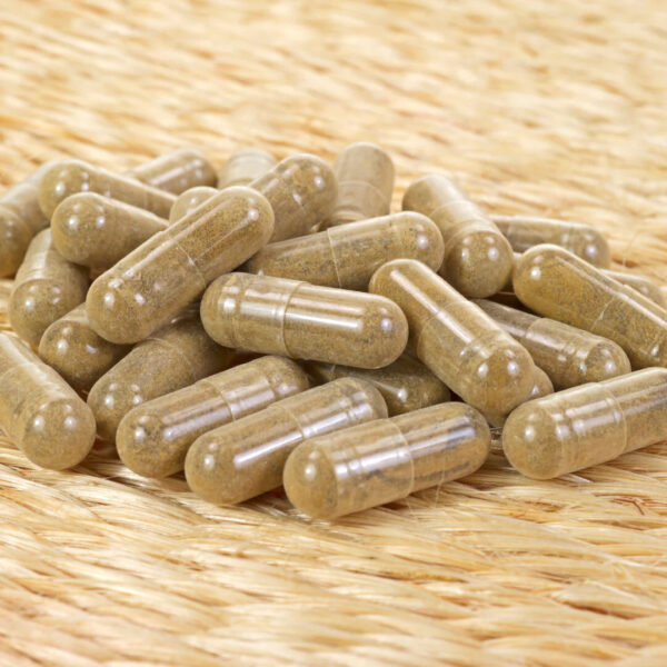 healthcare-household-kanehide-bio-okinawa-fucoidan-supplement-180-capsules-03-yoyojapanstore