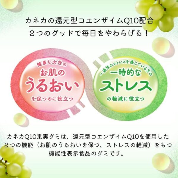 61TSsp0zYFL._AC_SL1080