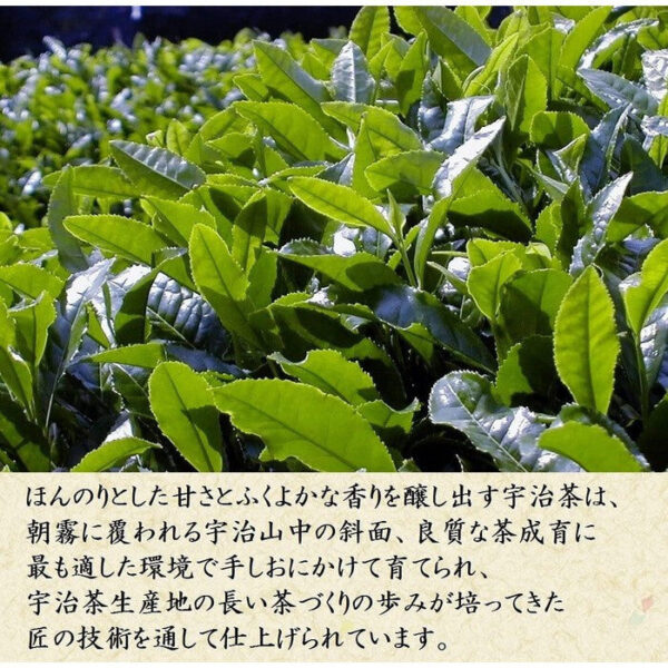 81P7IlZI9RS._AC_SL1168