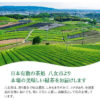 81Uq_P7bJaL._AC_SL1200