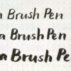 zebra-brush-pens-writing-examplles_3